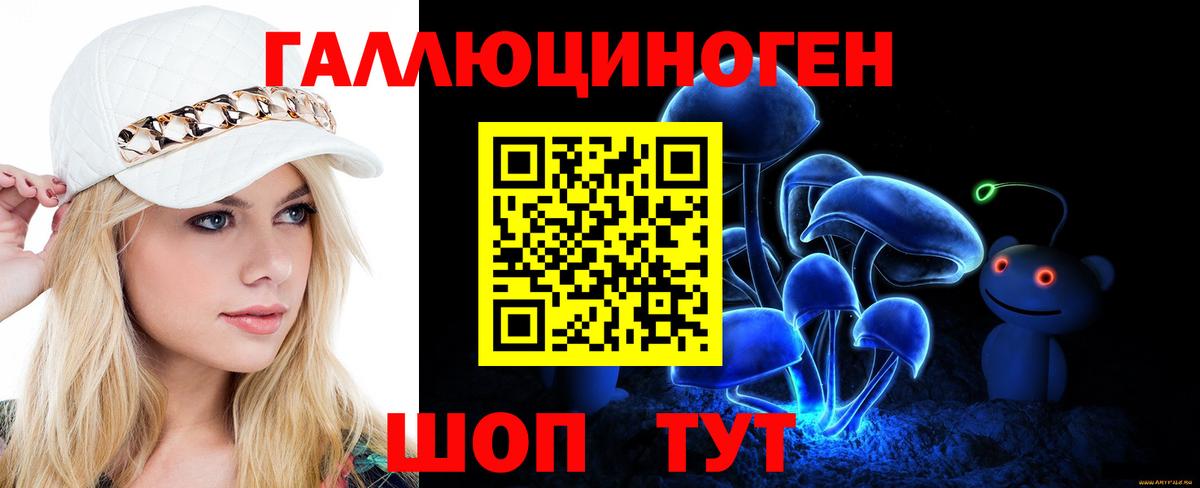 Псилоцибиновые грибы Psilocybe Янаул