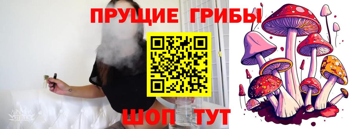 даркнет сайт  Галлюциногенные грибы прущие грибы  Вход с VPN  Янаул  Галлюциногенные грибы мухоморы 